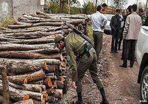کشف 2 تن چوب قاچاق در سوادکوه شمالی