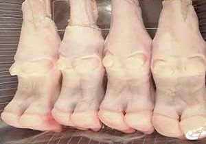 مهم‌ترین نکات مصرف پاچه گوسفند و سیرابی/ افرادی که باید دور این غذا را خط بکشند