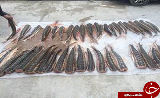 مهمترین حوادث هفته گذشته