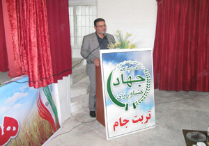 رشد 4 برابری تولید گندم در خراسان رضوی