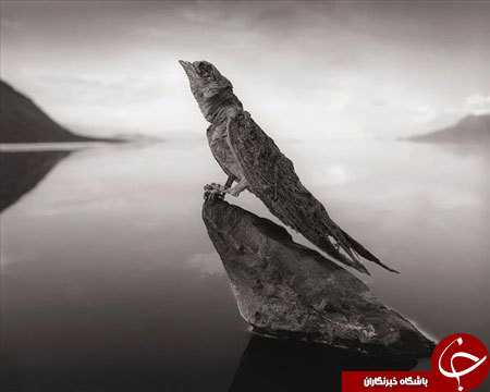 زیباترین نمک زار دنیا