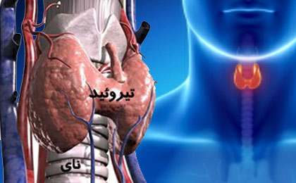 در صورت داشتن این علایم پوستی مشکوک به تیروئید هستید