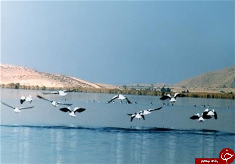 تبدیل باورنکردنی دریاچه به زمین خشک! + فیلم