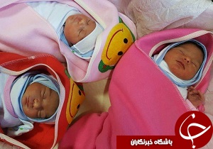 تولد سه قلوها