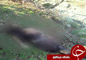 نگاهی گذرا به مهمترین رویدادهای 18 دی در مازندران