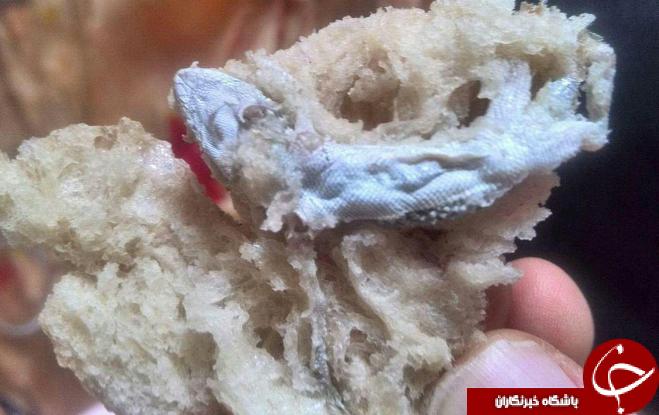 نگاهی گذرا به مهمترین رویدادهای 18 دی در مازندران