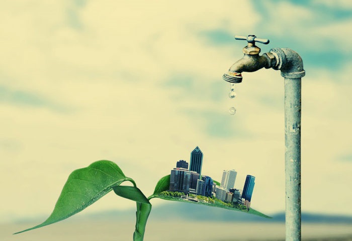تدوین سند راهبردی مدیریت خشکسالی استان بوشهر
