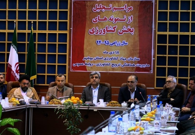 تجلیل از برگزیدگان جشنواره کشاورزی استان + تصاویر