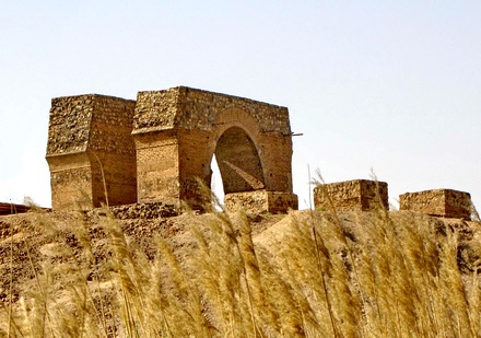تهران گردی با طعم خوش اهدای کتاب