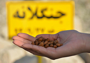 احیا طرح ملی جنگلانه