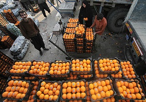 ایجاد پایانه صادرات محصولات کشاورزی در شهرستان گرمی
