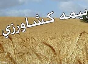 40 هزار کشاورز تحت پوشش صندوق بیمه کشاورزی