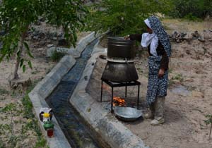 ثبت مهارت سنتی استحصال گل و گیاهان دارویی در خراسان جنوبی