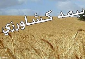 بیمه محصولات کشاورزی به خسارت‌های بالای 20 درصد