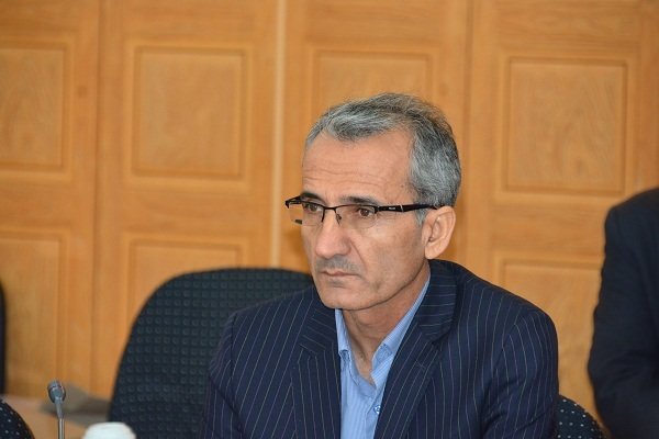فعالیت ۲۵۰ باشگاه کتابخوانی در مدارس دشتی