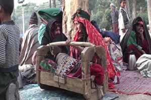 ۱۱۵۰ خانواده در ولایت غور وادار به مهاجرت شده اند