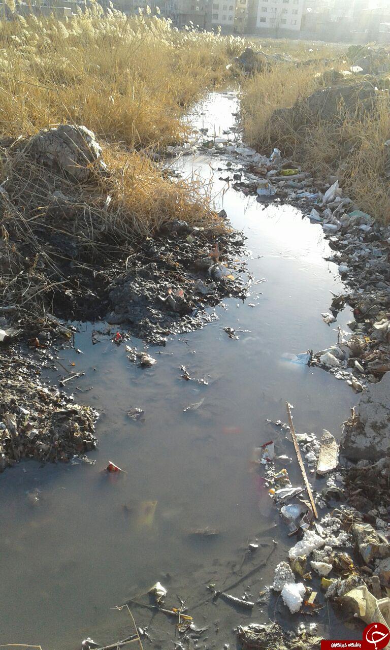 نمایی از وضعیت اسفناک کوچه و خیابان&zwnj;های شهرک طالقانی