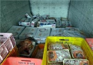 معدوم سازی 100 کیلو گرم گوشت مرغ