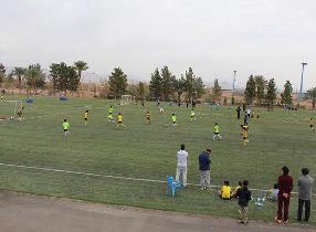 فستیوال مدارس فوتبال