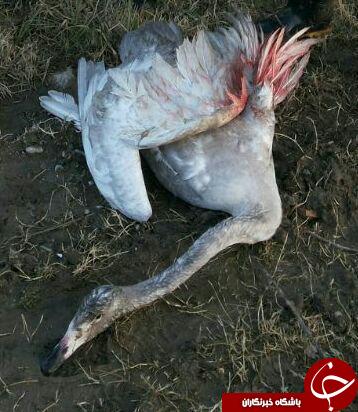 نگاهی گذرا به مهمترین رویدادهای 2 دی در مازندران