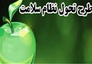 مشکل طرح سلامت منابع مالی ناپایدار است