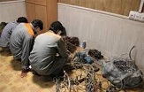 دستگيري 9 سارق و كشف 20 سرقت در كرمان