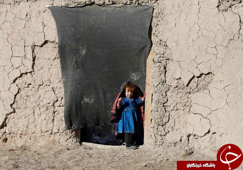 از مراسم عجیب ادای سوگند در عنا تا ابراز علاقه یک کودک به ببر بنگال