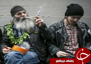 پرشیوع ترین کشورهای مصرف حشیش کدامند؟////ویژه جمعه