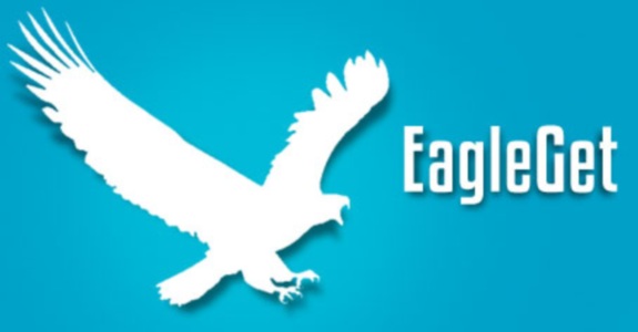 EagleGet 2.0.4.19 + Portable مدیریت دانلود