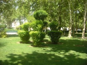 احداث پارک‌های موضوعی در مناطق مختلف تبریز