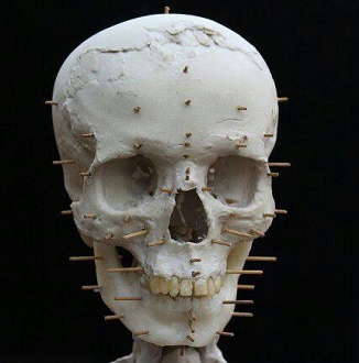 عکس/ مراحل بازسازی چهره از روی جمجمه 9500 ساله