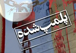 پلمپ 24 واحد صنفی متخلف در اسلام آبادغرب