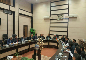 برخورد جدی با جایگاه داران متخلف عرضه مواد سوختی