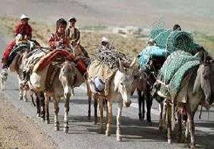 تشکیل صندوق خرد روستایی در 6 شهر مازندران