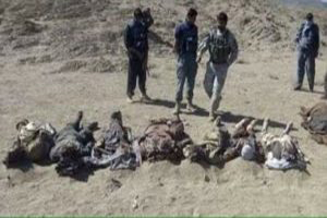 ۲۷ طالب در غزنی کشته و زخمی شدند