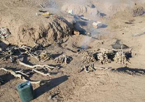کشف چهار کوره ذغال قاچاق در آران و بیدگل