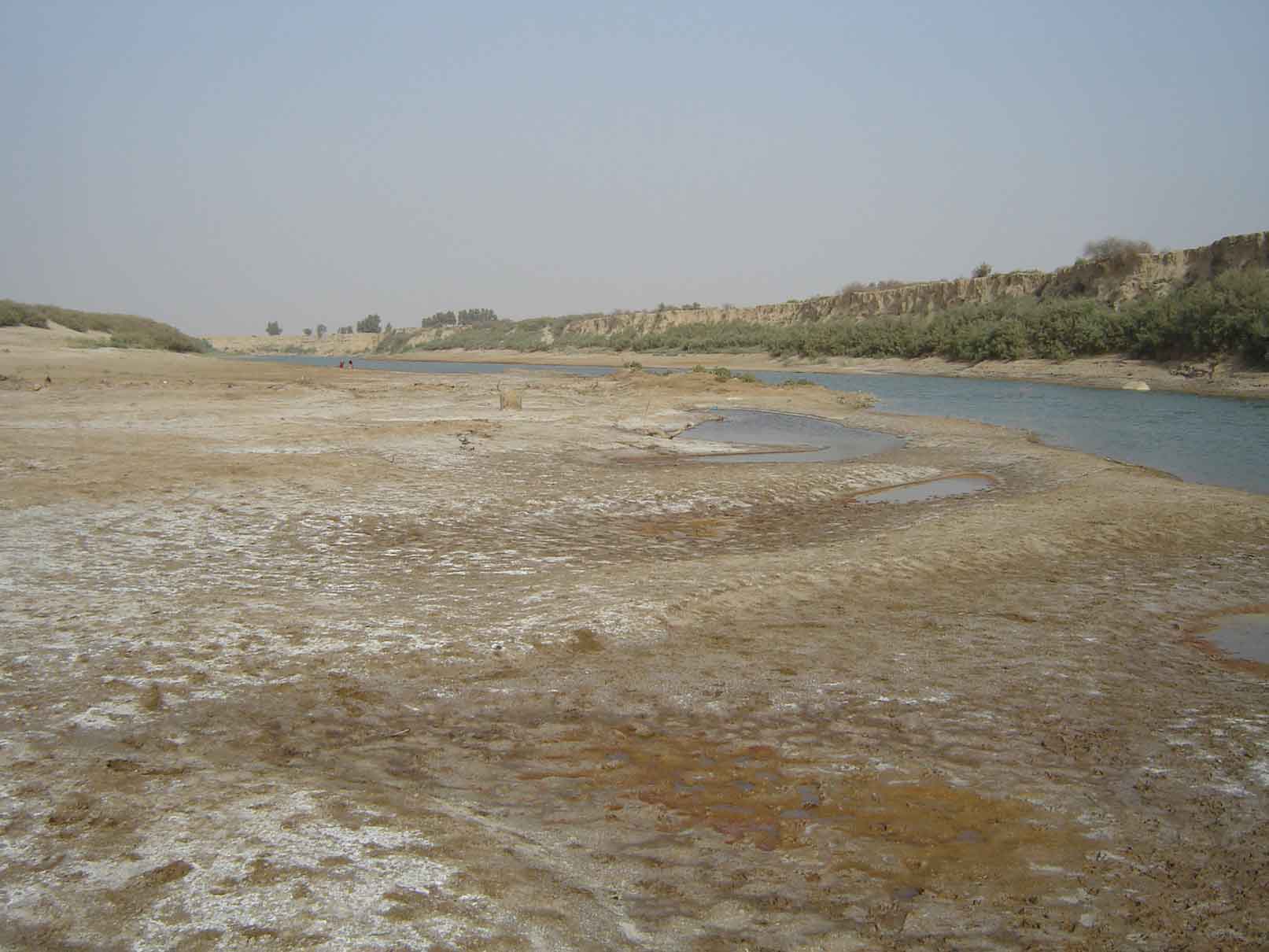 زنگ خطر برای حیات وحش