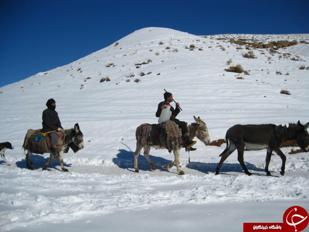 بحران بی&zwnj;آبی در روستای &laquo;کوهدره&raquo; + تصاویر
