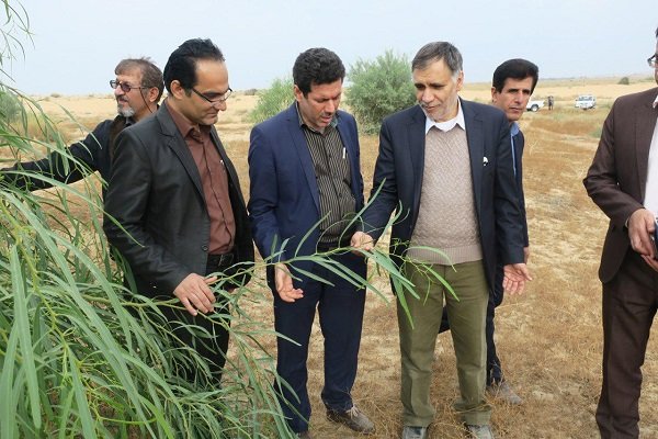 بازدید معاون وزیر جهاد کشاورزی از طرح‌های منابع طبیعی استان