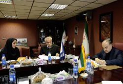 توسعه چوگان، توسعه فرهنگ ایرانی را در پی دارد
