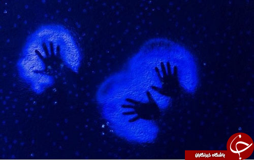 از ژست مضحک آنگلا مرکل مقابل دوربین تا سالن کنسرت هامبورگ///////////////