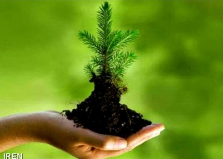 اخطاریه زیست محیطی به شهرداری یکی از شهرهای گیلان