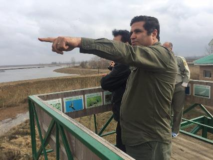 بازدید معاون دفتر زیستگاه های سازمان محیط زیست کشور از تالاب انزلی