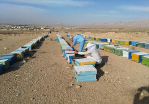 اشتغال 80 نفر با اجرای 37 طرح اشتغال زایی