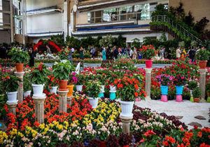 مازندران، میزبان نخستین سمپوزیوم بین المللی گل های زینتی
