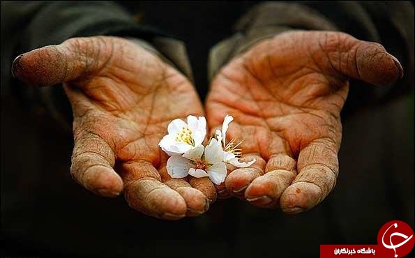 از دستگیری قاتل شهروند گناوه&zwnj;ای تا قدردانی از کارگر پاکدست در خارگ