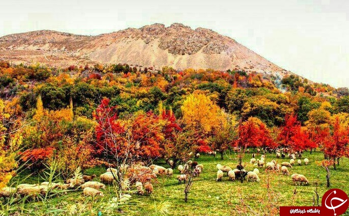 چهارفصل زیبای روستای رویین+ تصاویر