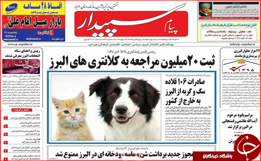 از پرونده هفت خوان در هفت خوان رسیدگی تا ماهی های فاسد چینی