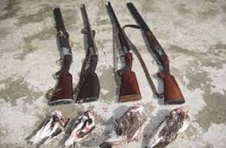 دستگیری شکارچیان غیر مجاز در البرز