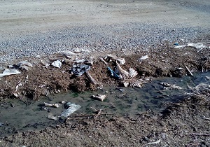 نبود امکانات شهری در روستای سمیران+ فیلم